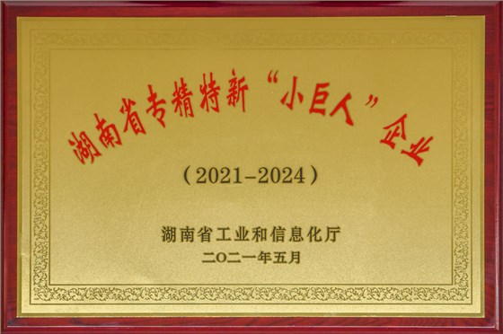 湖南省专精特新“小巨人”企业